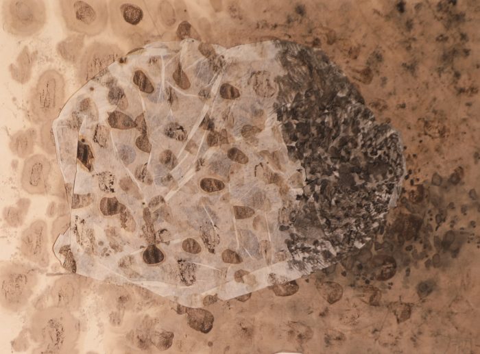 Collage Japon n°5 <br><b>Pascale VEYRON </b><br> 32x48.5cm