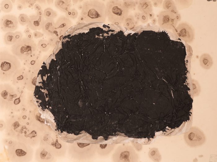 Collage Japon n°7 <br><b>Pascale VEYRON </b><br> 32.5x48.5cm