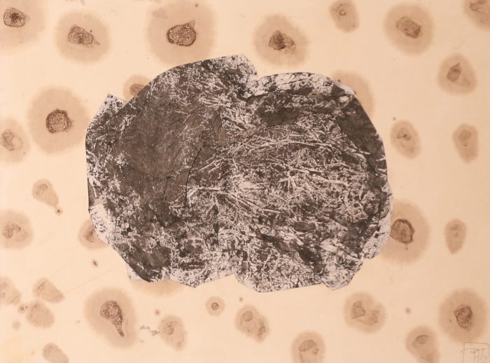 Collage Japon n°8 <br><b>Pascale VEYRON </b><br> 32.5x50cm