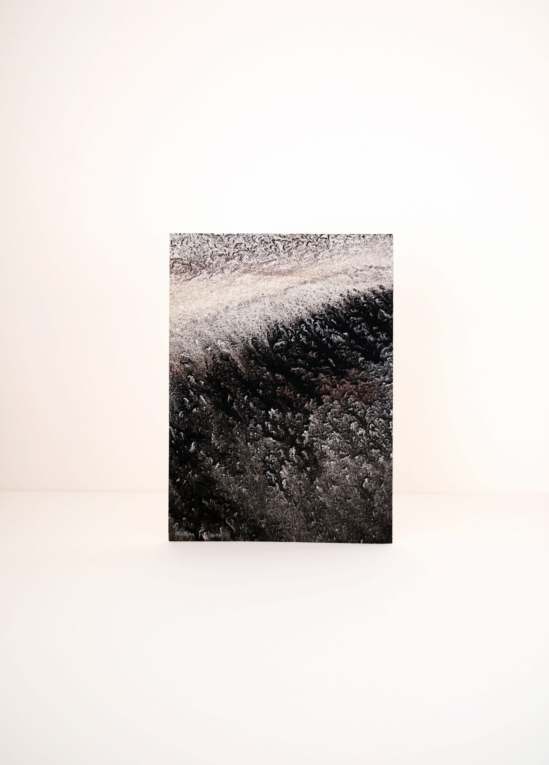 Charbon<br><b> Marion Fontaine </b><br>18x13 cm – Image 2