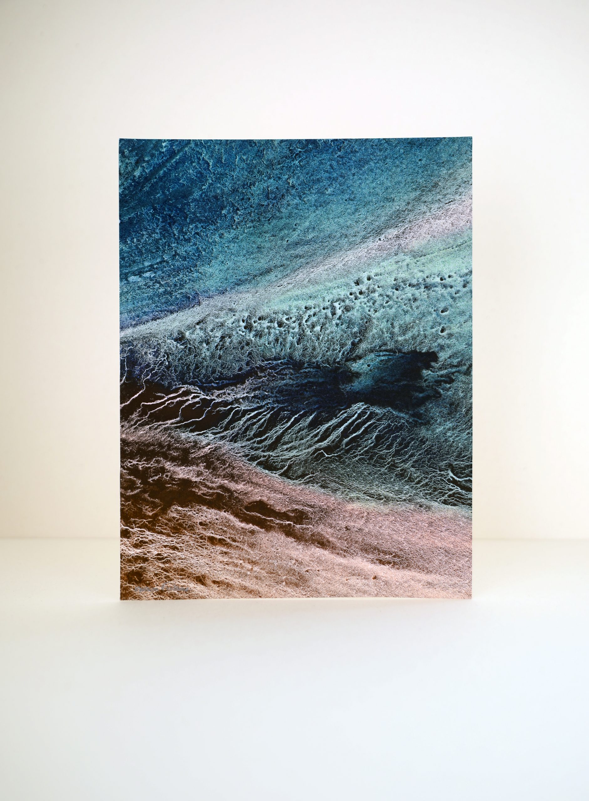Lande IV<br><b> Marion Fontaine </b><br>24x18 cm – Image 2